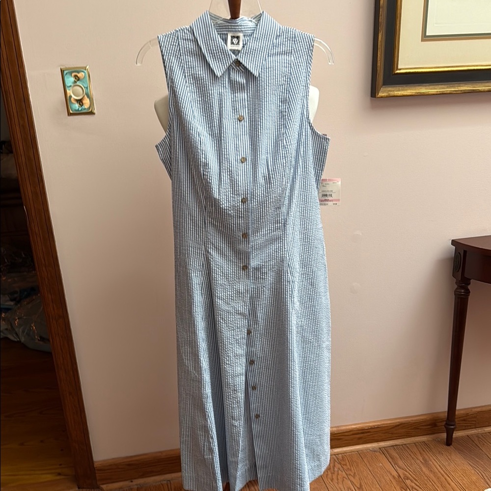 Blue Striped Seersucker Sleeveless Dress